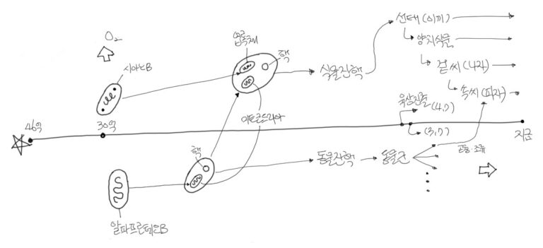 나무의 출현과 나무로의 진화는 어떻게 이루어젔을까?