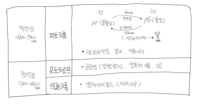나무는 어떻게 계절을 알아차릴까? 앞으로도 문제는 없을까?