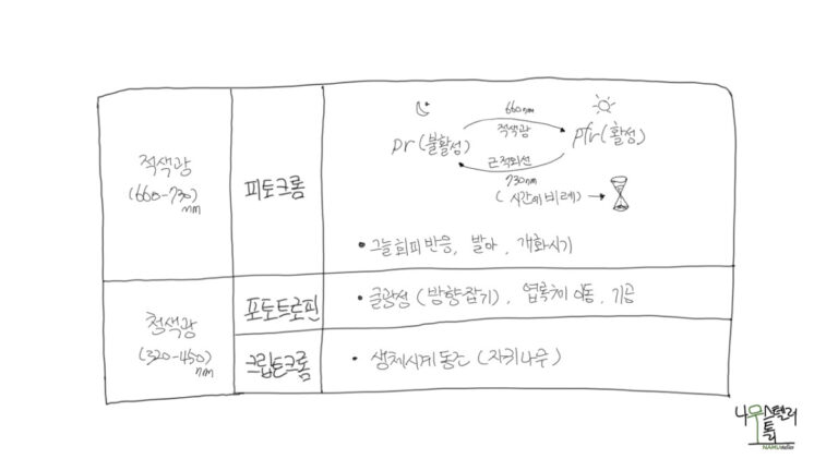 나무는 어떻게 계절을 알아차릴까? 앞으로도 문제는 없을까?
