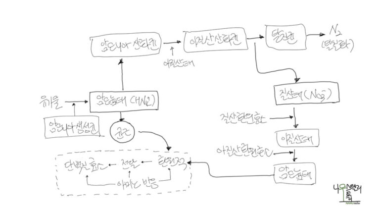 공기 중에 그 많은 질소를 나무는 왜 사용하지 못하지?