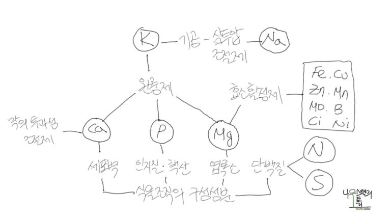 나무는 땅속에 뿌리를 내리고 위로 자라난다. 땅속에 무엇이 있길래 가능하지?