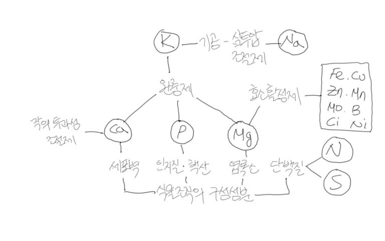 나무는 땅속에 뿌리를 내리고 위로 자라난다. 땅속에 무엇이 있길래 가능하지?
