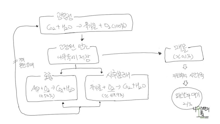 아마존은 지구의 허파? 이는 허상이다