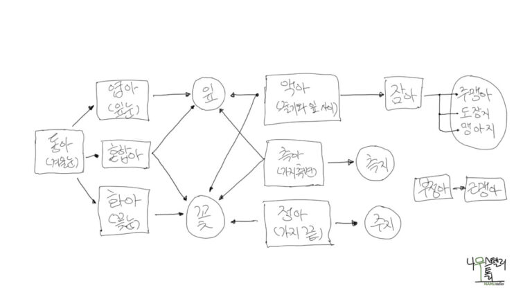 나무는 정해진 수명이 있을까?