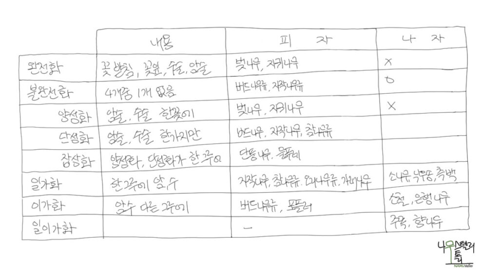 꽃의 종류와 구분