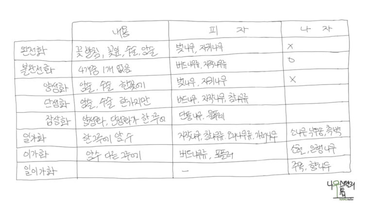 나무에게 자아를 묻는다면(생식-체세포 미분리)