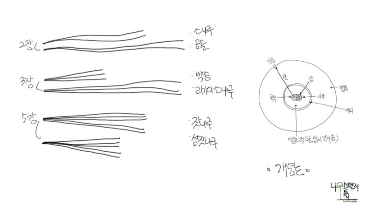 하나의 다발에 두 잎, 다섯 잎